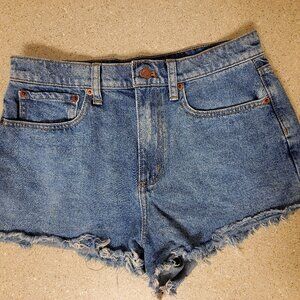 Victoria Secret Pink Womens Jean Shorts